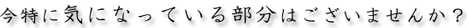 今特に気になってる部分はございませんか？